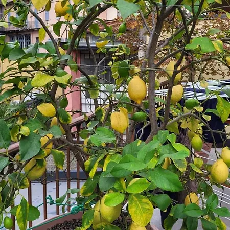 Casa Théméo - Centro Intra * Verbania