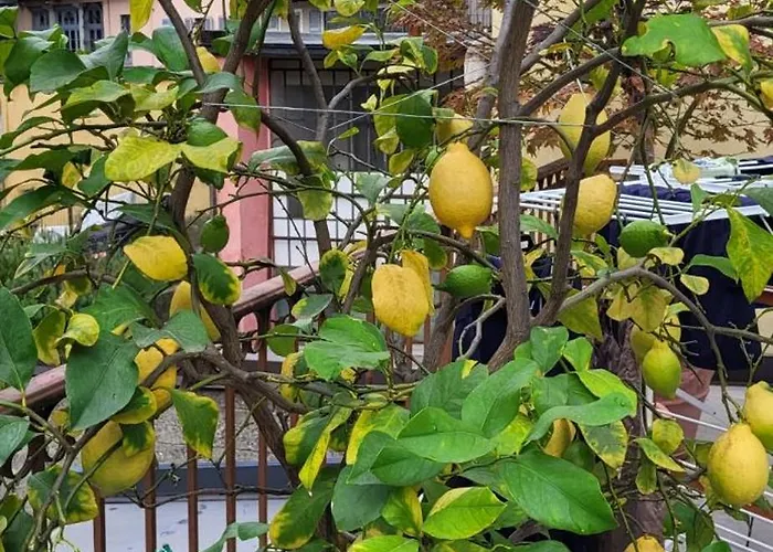 Casa Themeo - Centro Citta Intra * Βερμπάνια